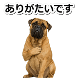 847631181