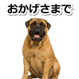 847631182