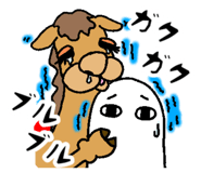 847632590