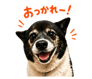 847633340