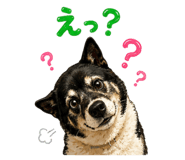 847633348