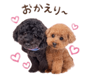 847636000