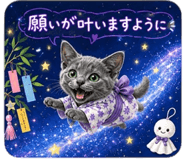 847637237