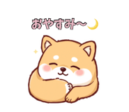 847638224