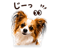 847640270