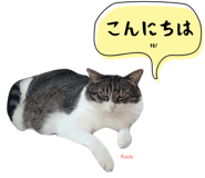 847652098