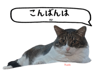 847652099