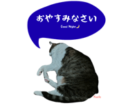 847652100