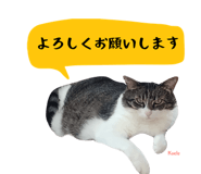 847652101