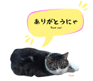 847652102