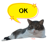 847652103