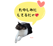 847652104
