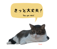 847652108