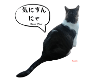 847652110