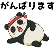 847654748