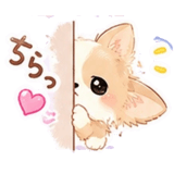 847654852
