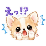 847654861