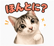 847655458