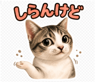 847655459