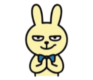 847655515