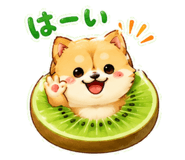 847655803