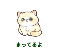 847659981