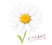 847662703