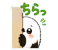 847664252