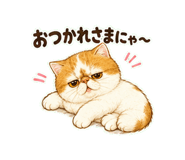 847664265