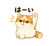 847664271