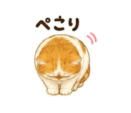 847664276