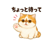 847664277
