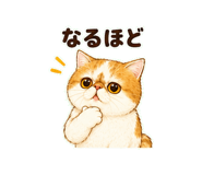 847664278