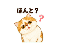 847664279