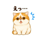 847664280