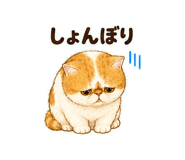 847664282