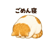 847664284