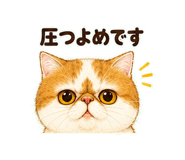 847664288