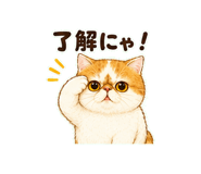 847664290
