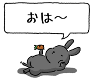 847664468