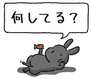 847664476