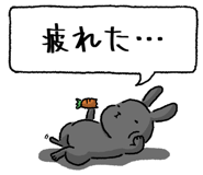 847664483