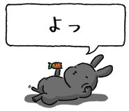 847664493