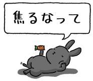 847664494