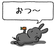 847664499