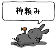 847664501