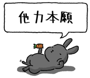 847664502