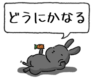 847664503