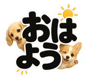 847664849