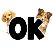 847664854